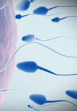 Spermogram dla niskiej mocy
